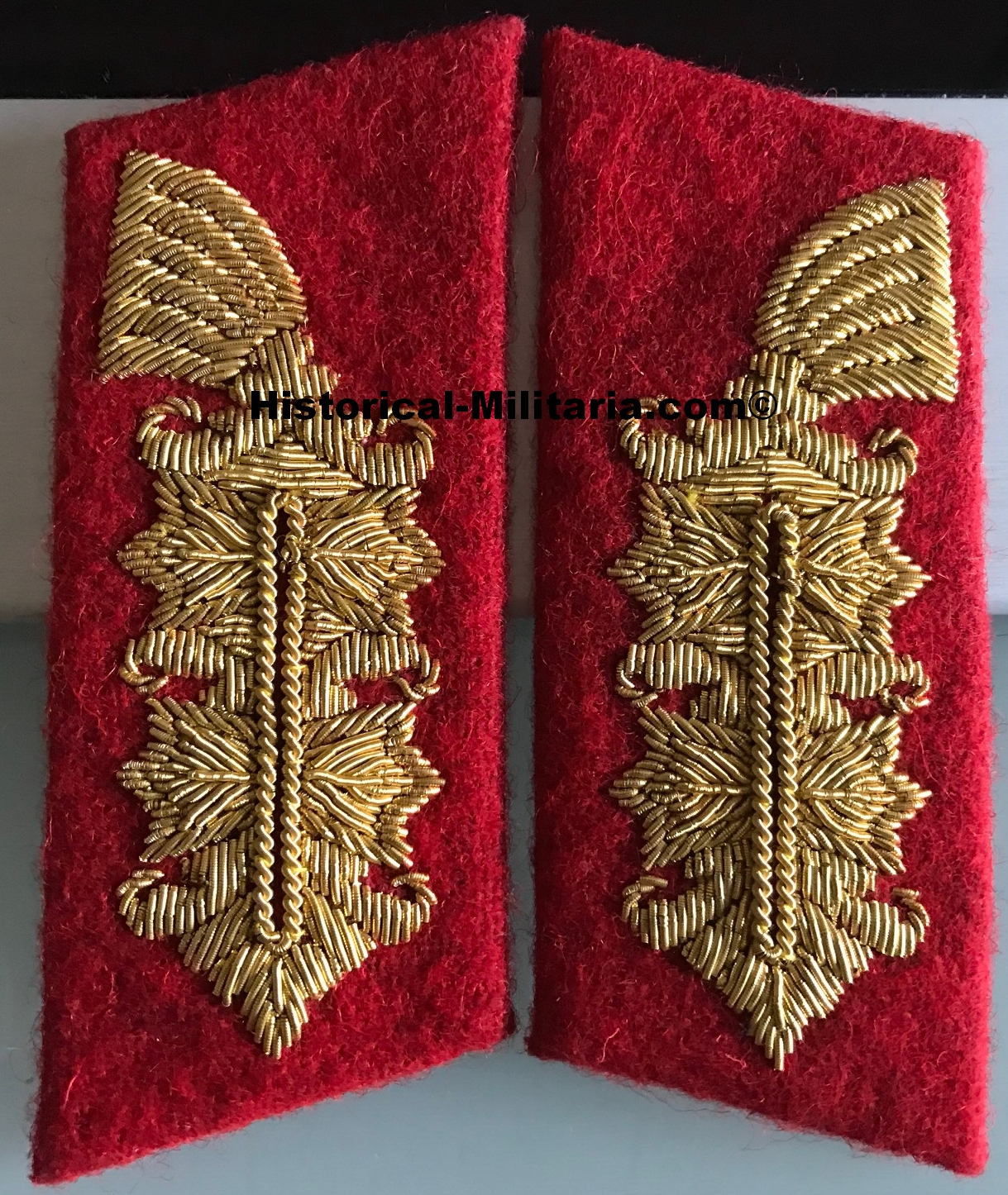 German Generals collar tabs in bullion wire and golden celleon - R.I