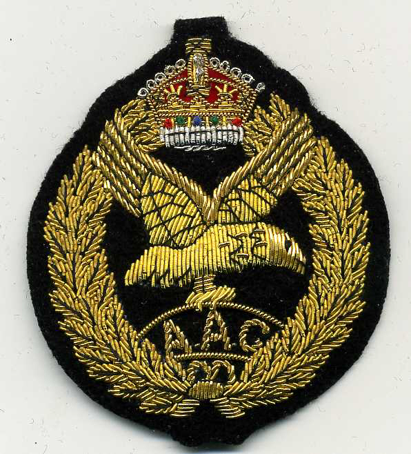 AAC Army Air corps118.jpg