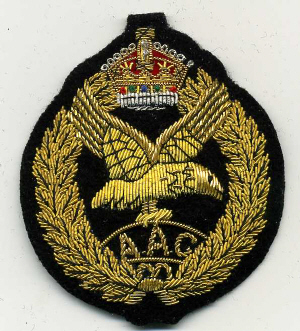 AAC Army Air corps118.jpg