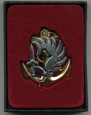 French Parachute badge449.jpg